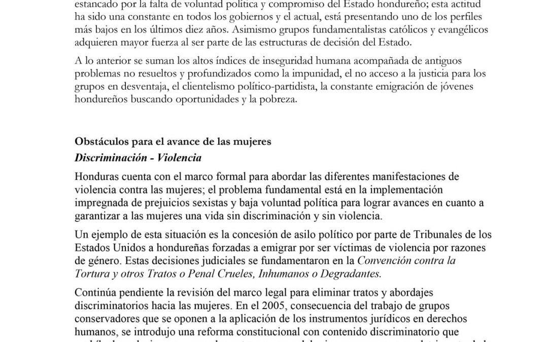 Informe alternativo al comité de la CEDAW – Resumen ejecutivo