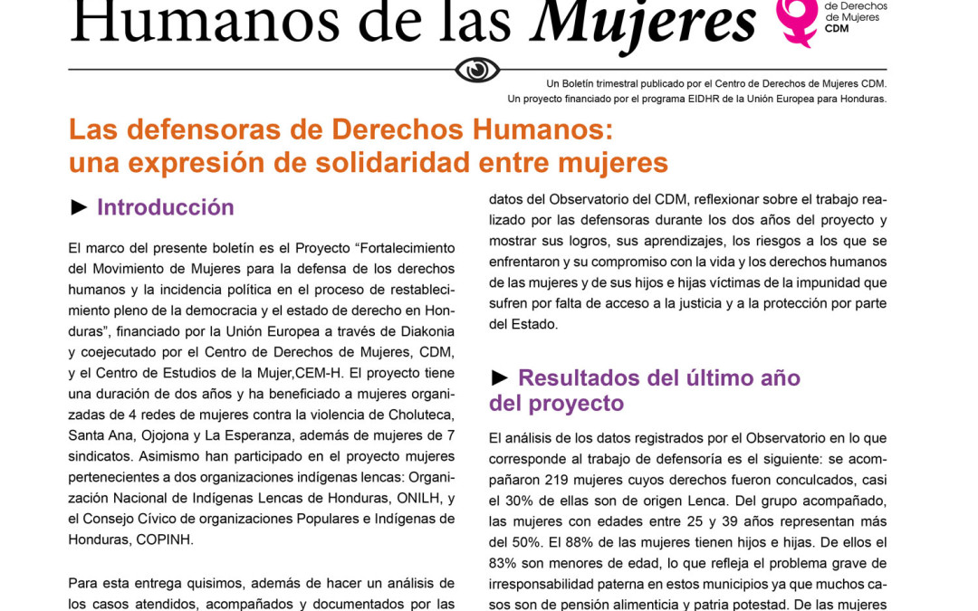 Las defensoras de Derechos Humanos: una expresión de solidaridad entre mujeres