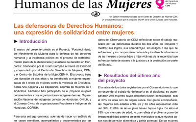 Las defensoras de Derechos Humanos: una expresión de solidaridad entre mujeres