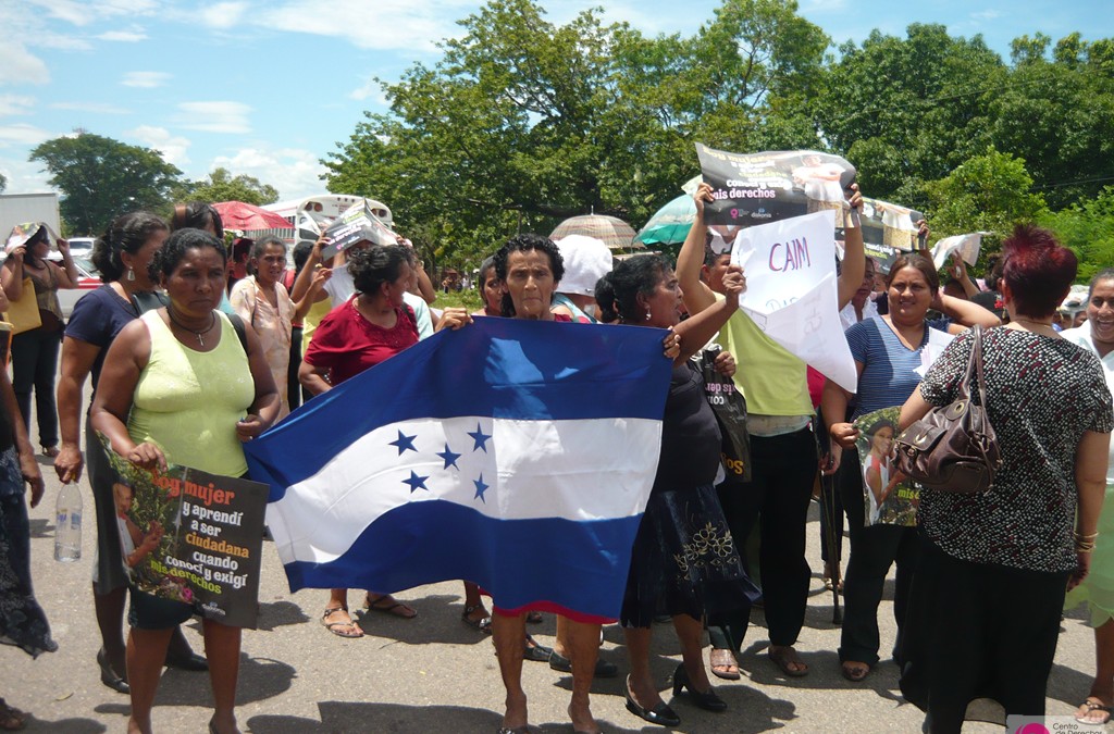 PARTICIPACIÓN CIUDADANA 2010
