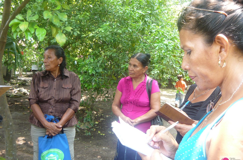 Participación Ciudadana