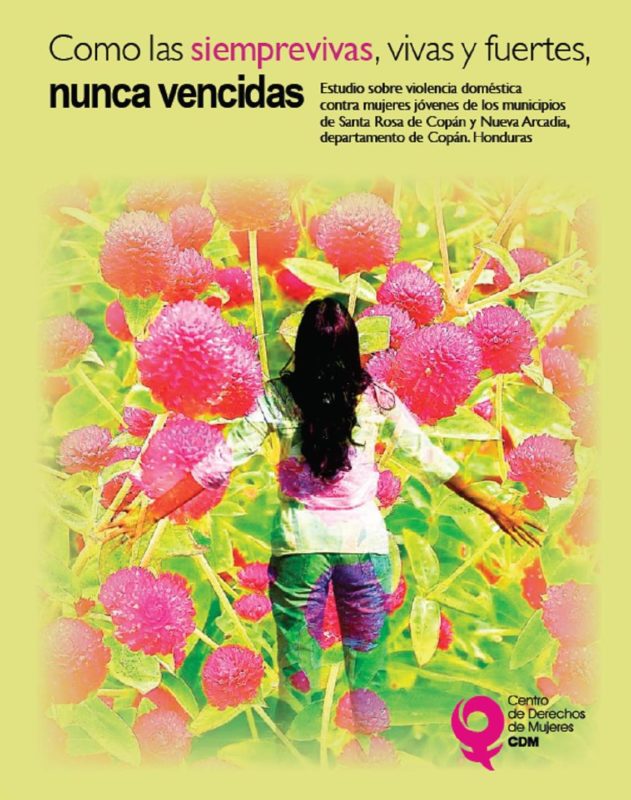 Como las siemprevivas, vivas y fuertes, nunca vencidas. Estudio sobre  violencia doméstica contra mujeres jóvenes de los municipios de Santa Rosa  de Copán y Nueva Arcadia, Departamento de Copán, Honduras | Centro