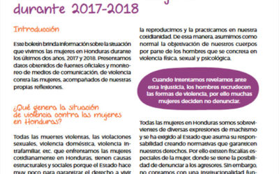 Datos y reflexiones: Violencia contra las mujeres durante 2017-2018