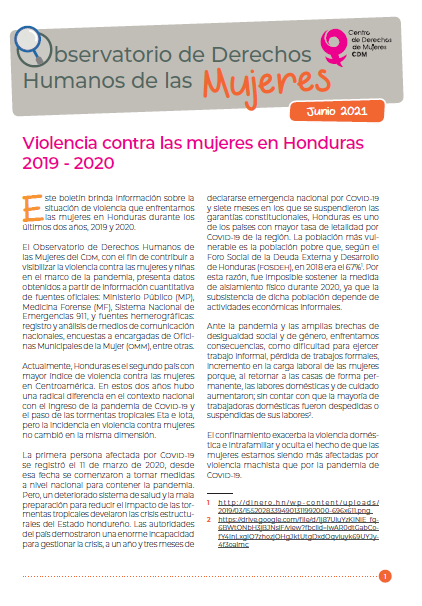 Boletín: Violencia contra las mujeres en Honduras 2019-2020