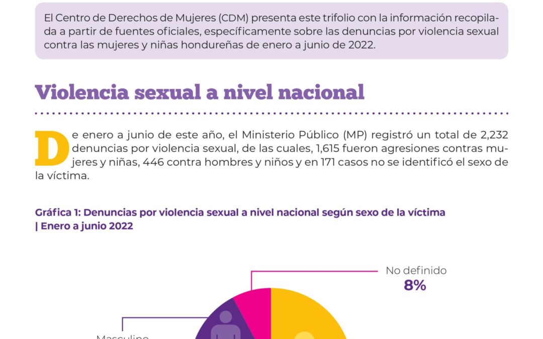 Hoja de violencia sexual contra mujeres en honduras: enero – Junio 2022