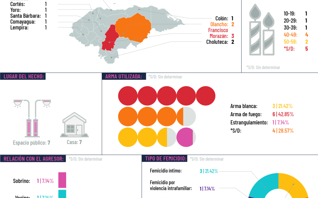 Infografías sobre femicidios en Honduras en el 2024