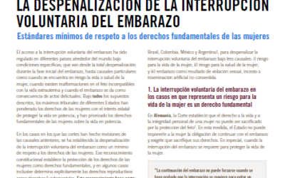 La despenalización de la interrupción voluntaria del Embarazo. Estándares mínimos