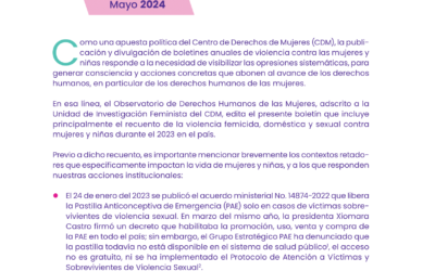 Boletín Anual: Violencia contra las mujeres en Honduras – 2023