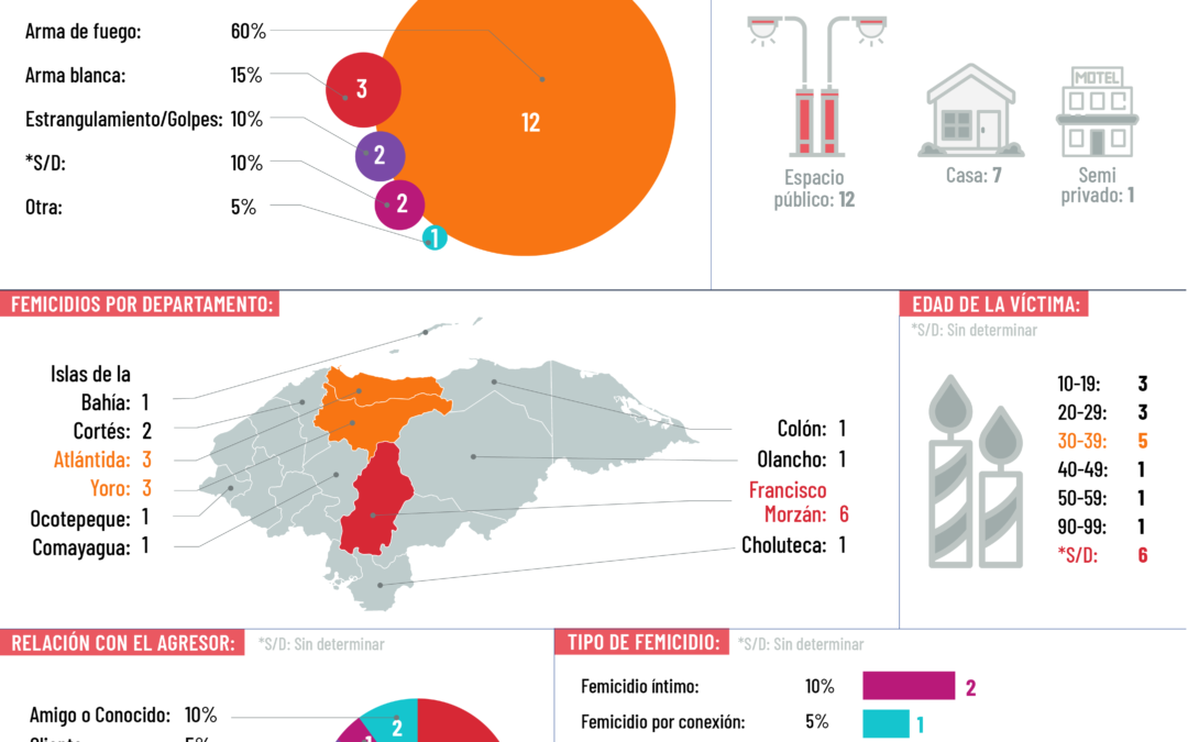 Infografías sobre femicidios en Honduras en el 2024