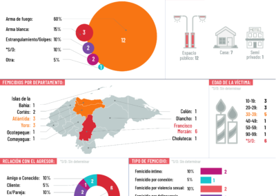 Infografías sobre femicidios en Honduras en el 2024