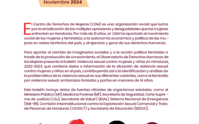 Boletín: Violencia sexual contra mujeres y niñas en Honduras (2022-2023)