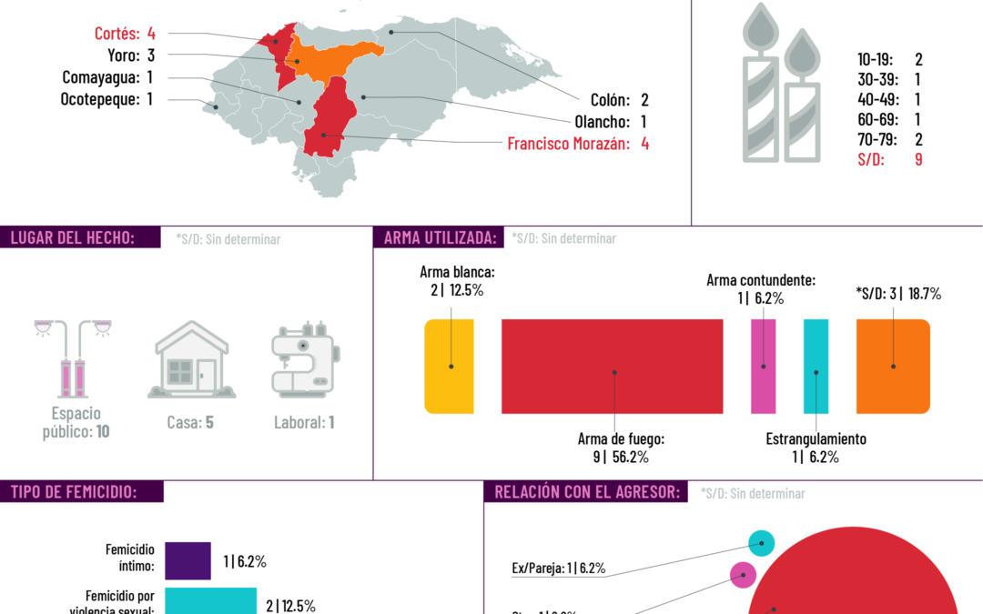 Infografías sobre femicidios en Honduras en el 2024