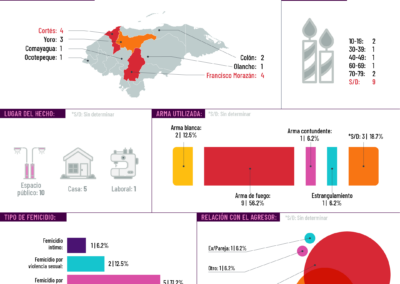 Infografías sobre femicidios en Honduras en el 2024