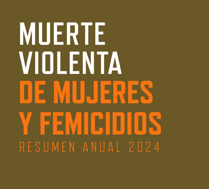 Violencia femicida en Honduras: Resumen anual 2024