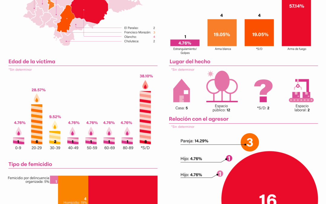 Infografías sobre femicidios en Honduras en el 2025