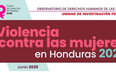 Boletín: Violencia contra las Mujeres en Honduras – 2024