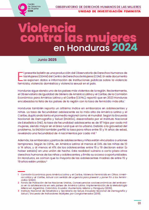 Boletín: Violencia contra las Mujeres en Honduras – 2024 | Centro de ...