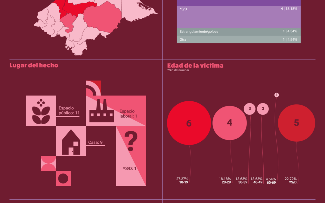Infografías sobre femicidios en Honduras en el 2026 