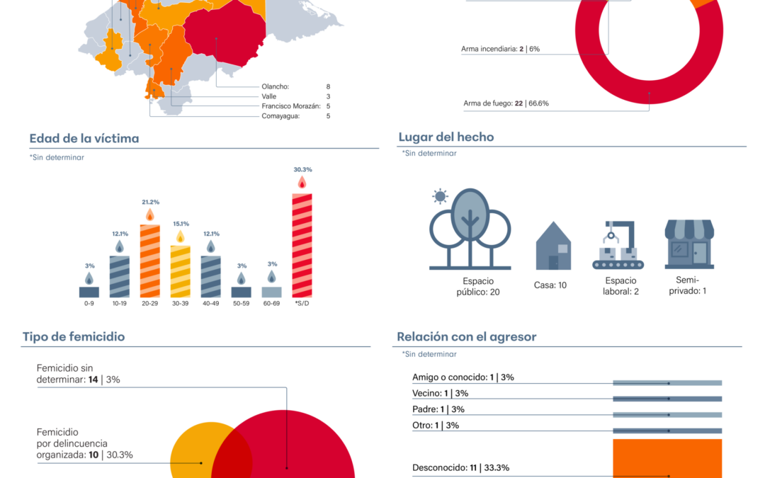 Infografías sobre femicidios en Honduras en el 2025