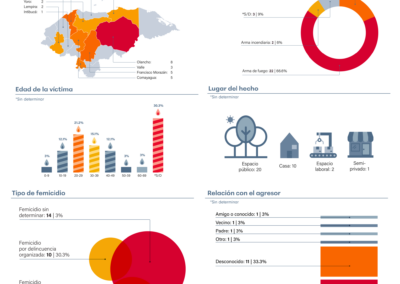 Infografías sobre femicidios en Honduras en el 2025