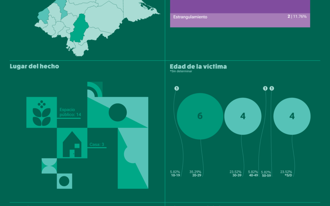 Infografías sobre femicidios en Honduras en el 2026 