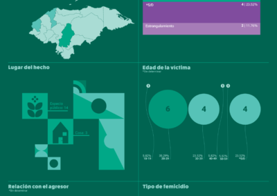 Infografías sobre femicidios en Honduras en el 2026 