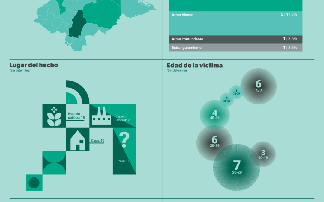 Infografías sobre femicidios en Honduras en el 2026 