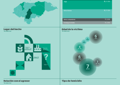 Infografías sobre femicidios en Honduras en el 2026 