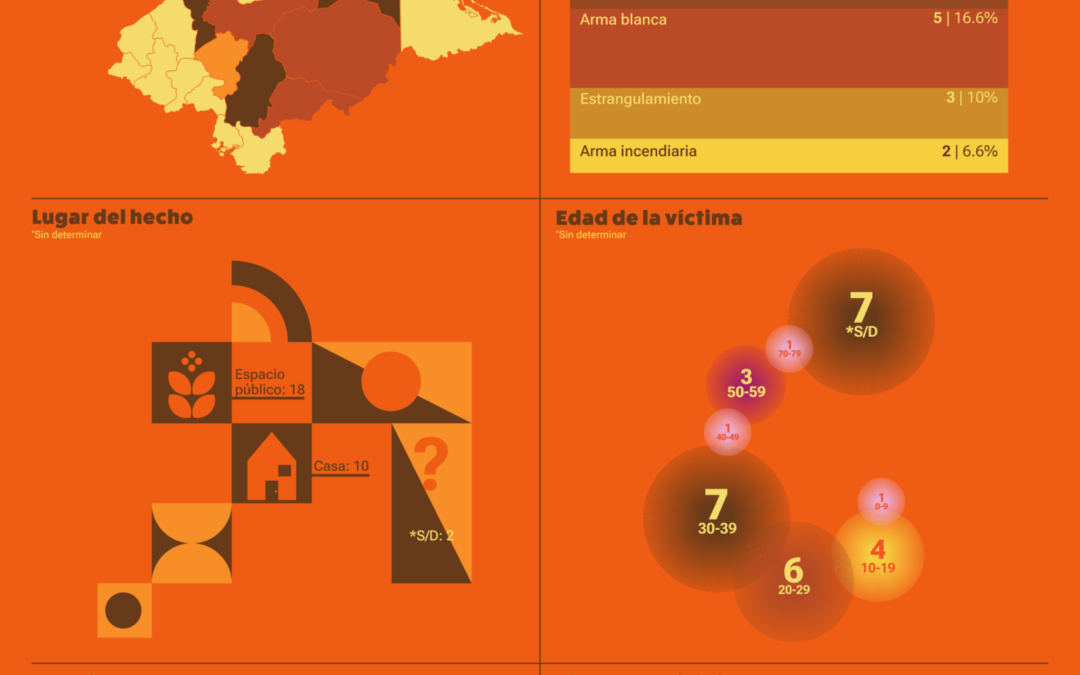 Infografías sobre femicidios en Honduras en el 2026 