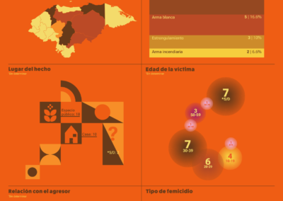 Infografías sobre femicidios en Honduras en el 2026 