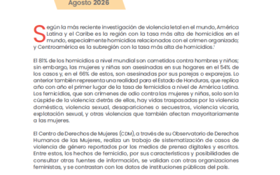Boletín: Violencia contra mujeres y niñas – 2025